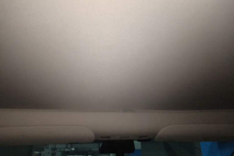 Used Tesla Model Y 2022 Performance High-Performance All-Wheel-Drive Version Headliner
