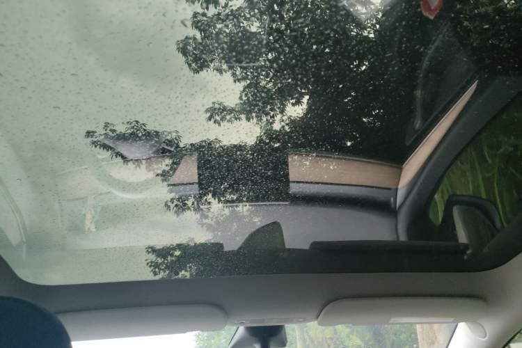 Used Tesla Model Y 2022 Rear-Wheel-Drive Version Headliner