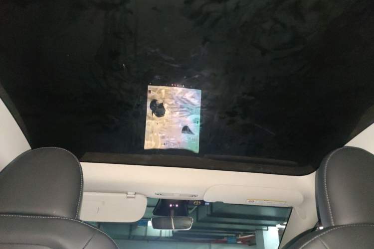 Used Tesla Model Y 2022 Rear-Wheel-Drive Version Headliner
