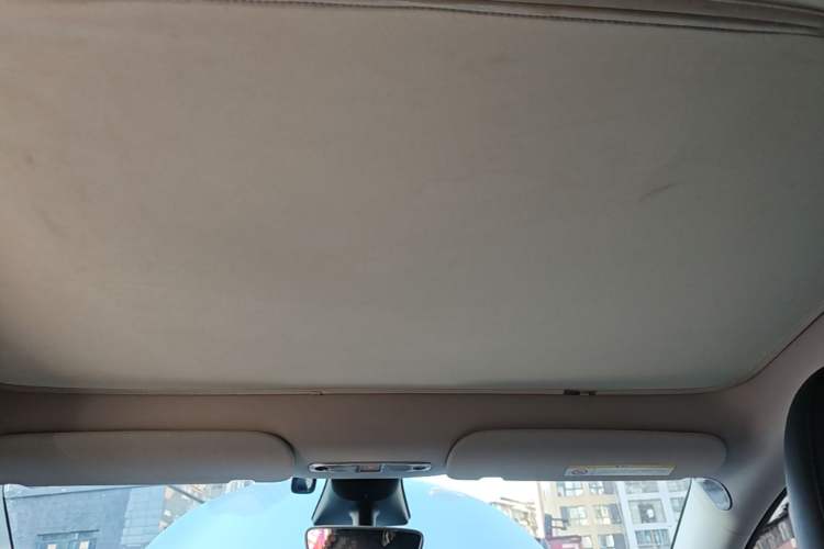 Used Tesla Model Y 2022 Revised Version Rear-Wheel Drive Headliner