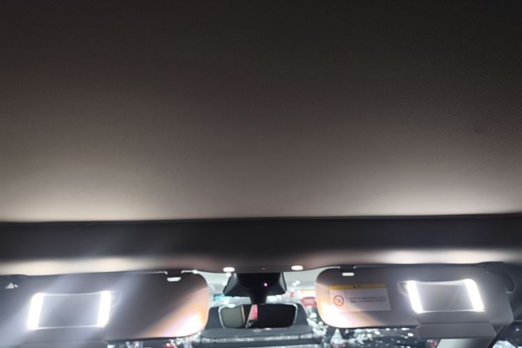 Used Tesla Model Y 2022 Revised Version Rear-Wheel Drive Headliner