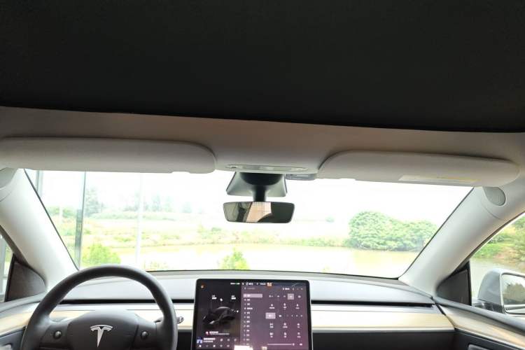 Used Tesla Model Y 2022 Performance High-Performance All-Wheel-Drive Version Headliner