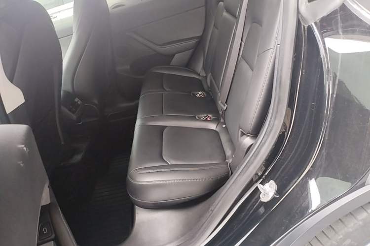 Used Tesla Model Y 2022 Rear-Wheel-Drive Version Left Rear Seat