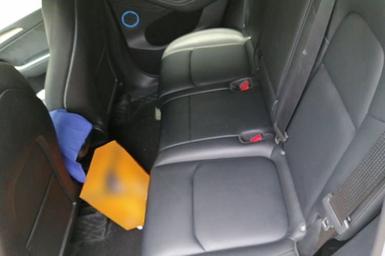 Used Tesla Model Y 2022 Rear-Wheel-Drive Version Left Rear Seat