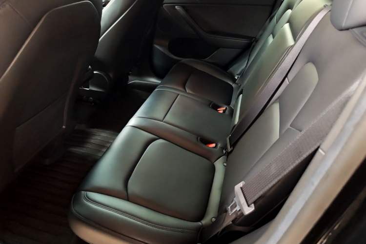 Used Tesla Model Y 2022 Rear-Wheel-Drive Version Left Rear Seat