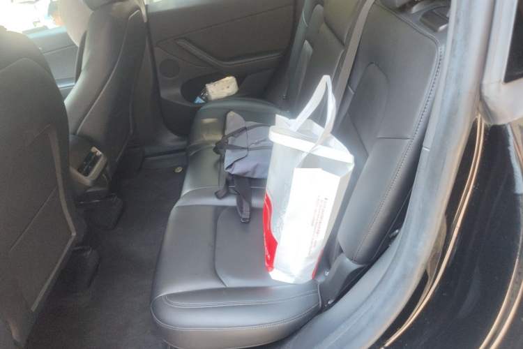 Used Tesla Model Y 2022 Performance High-Performance All-Wheel-Drive Version Left Rear Seat