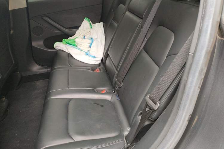 Used Tesla Model Y 2022 Rear-Wheel-Drive Version Left Rear Seat