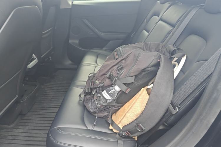 Used Tesla Model Y 2022 Long-Range All-Wheel-Drive Version Left Rear Seat