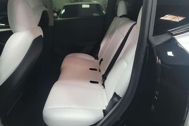 Used Tesla Model Y 2022 Revised Version Rear-Wheel Drive Left Rear Seat