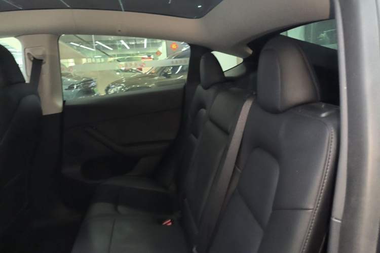 Used Tesla Model Y 2022 Long-Range All-Wheel-Drive Version Left Rear Seat