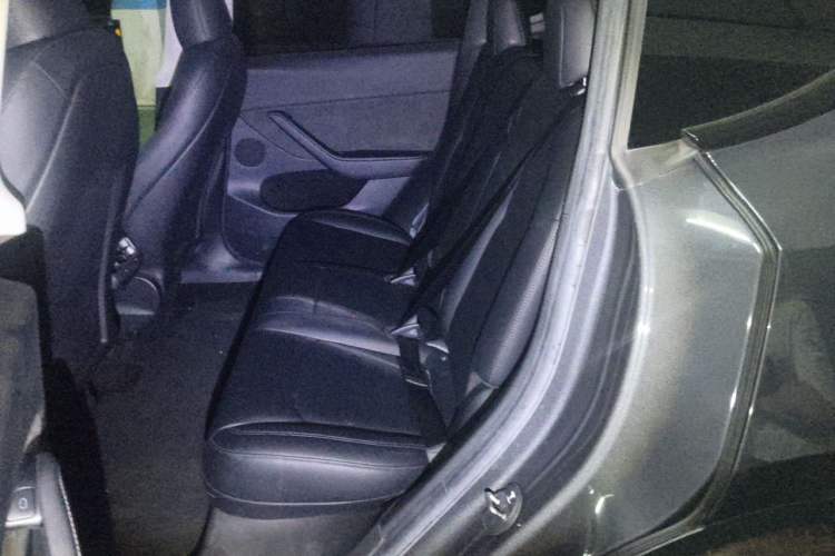 Used Tesla Model Y 2022 Performance High-Performance All-Wheel-Drive Version Left Rear Seat