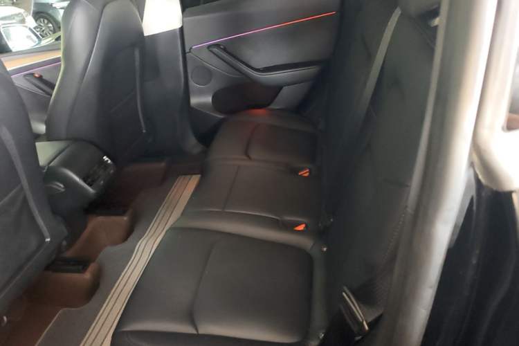 Used Tesla Model Y 2022 Revised Version Rear-Wheel Drive Left Rear Seat