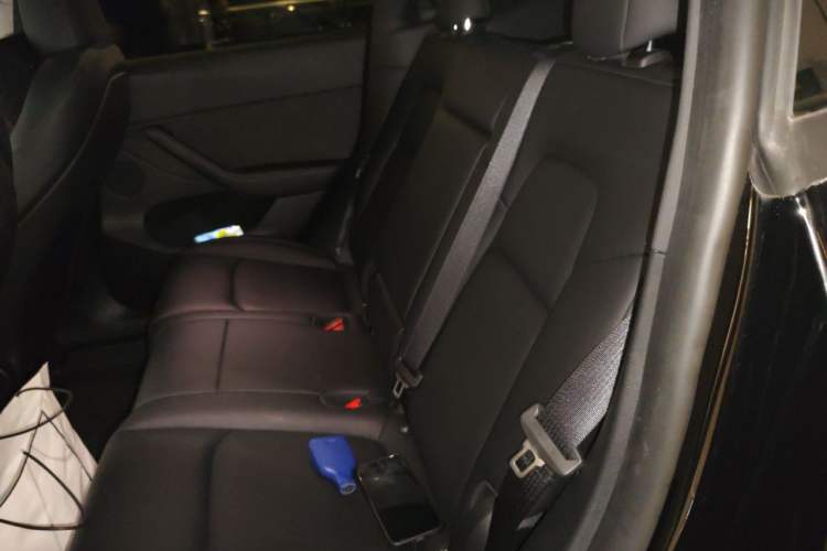 Used Tesla Model Y 2022 Revised Version Long-Range All-Wheel Drive Left Rear Seat