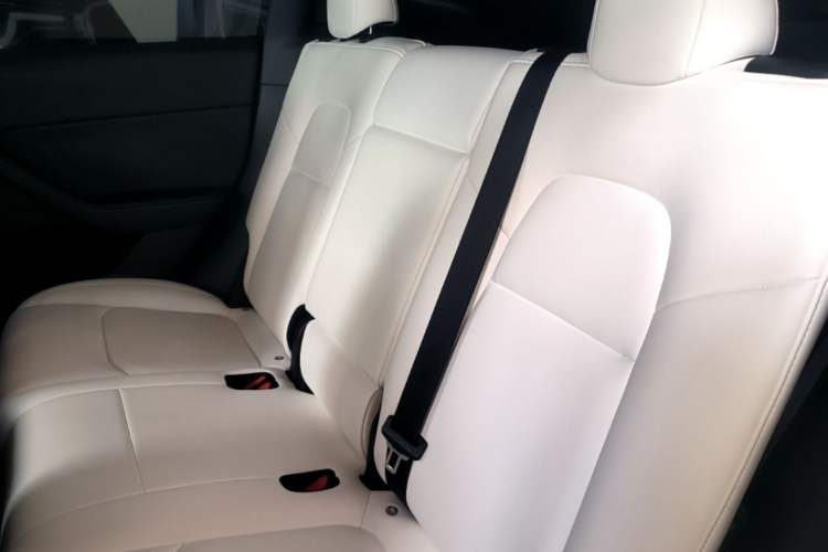Used Tesla Model Y 2022 Revised Version Rear-Wheel Drive Left Rear Seat