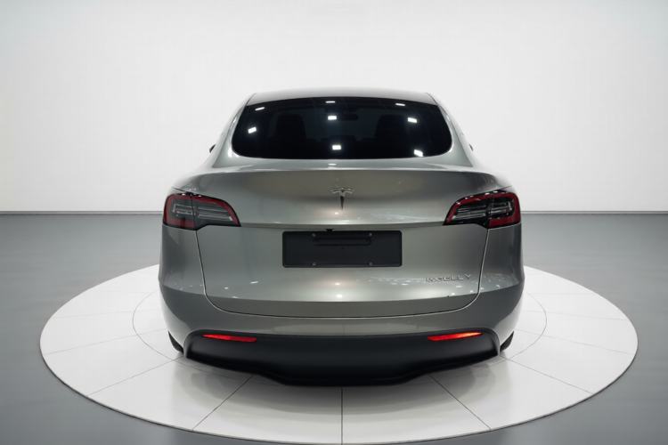 Used Tesla Model Y 2022 Revised Version Long-Range All-Wheel Drive Rear