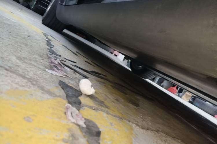 Used Tesla Model Y 2022 Rear-Wheel-Drive Version Right Side Sill