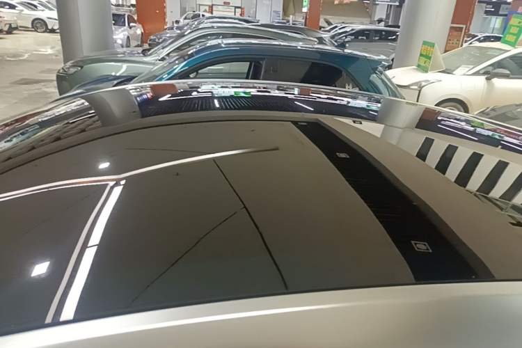 Used Tesla Model Y 2022 Rear-Wheel-Drive Version Roof