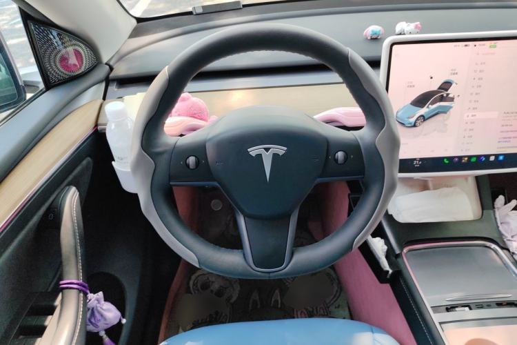 Used Tesla Model Y 2022 Revised Version Long-Range All-Wheel Drive Steering Wheel