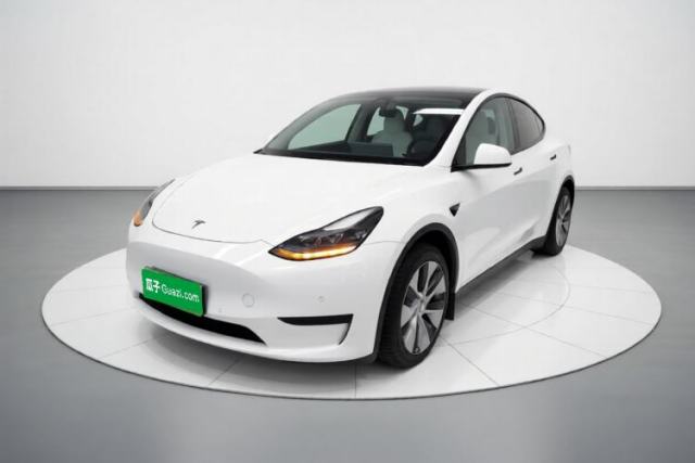 Tesla Model Y 2022 Revised Version Rear-Wheel Drive de segunda mano