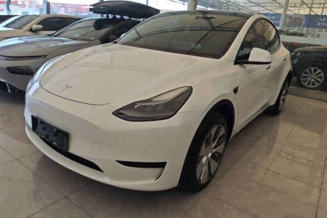 Tesla Model Y 2022 Revised Version Rear-Wheel Drive de segunda mano