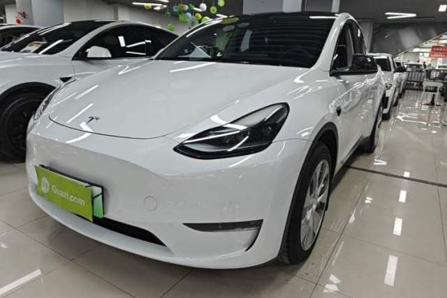 Used Tesla Model Y 2022 Long-Range All-Wheel-Drive Version