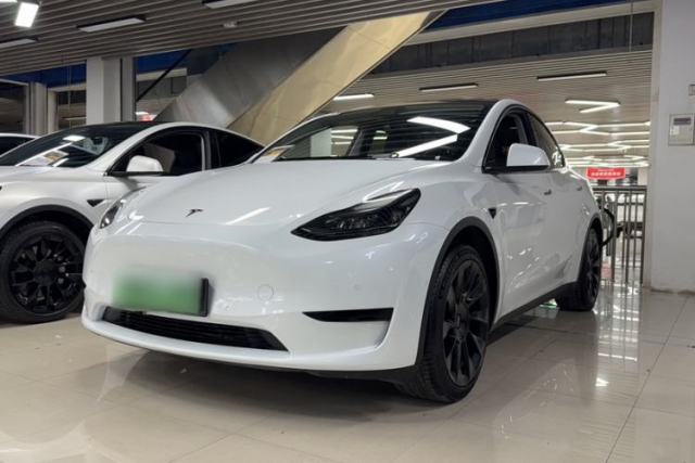 Tesla Model Y 2022 Long-Range All-Wheel-Drive Version usado