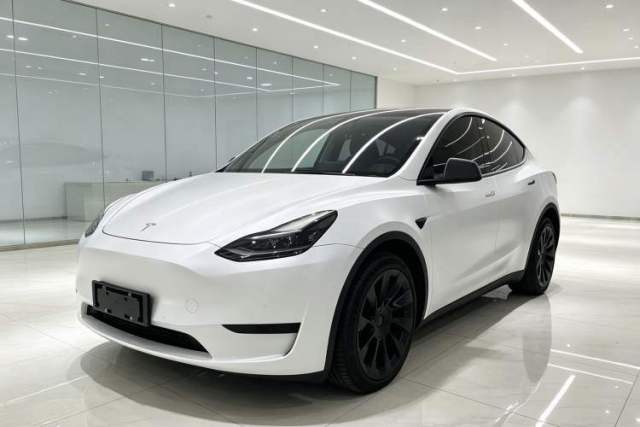 Tesla Model Y 2022 Revised Version Rear-Wheel Drive de segunda mano