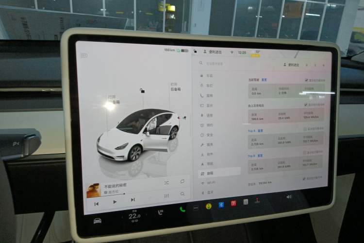 Used Tesla Model Y 2022 Revised Version Rear-Wheel Drive Audio And AC Panel