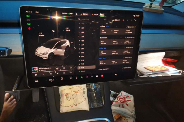 Used Tesla Model Y 2022 Revised Version Rear-Wheel Drive Audio And AC Panel