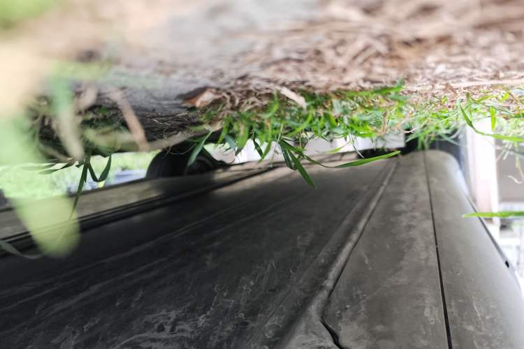 Used Tesla Model Y 2022 Rear-Wheel-Drive Version Chassis Rear Left