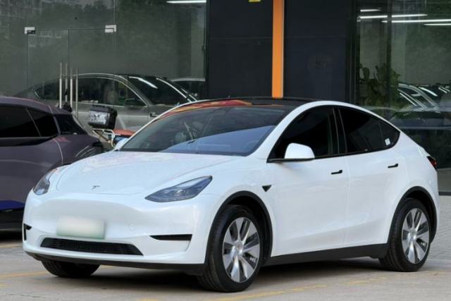 Tesla Model Y 2022 Revised Version Rear-Wheel Drive d’occasion