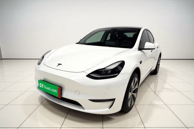 Tesla Model Y 2022 Revised Version Long-Range All-Wheel Drive de segunda mano
