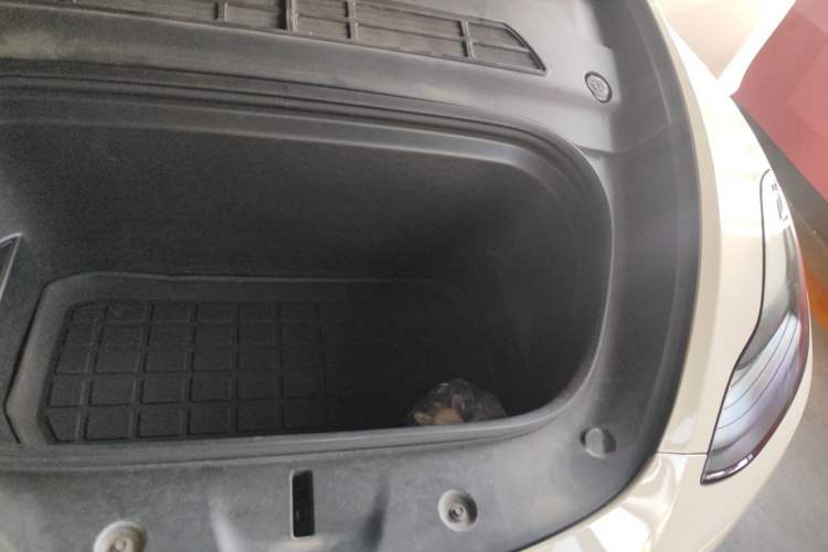 Used Tesla Model Y 2022 Rear-Wheel-Drive Version Engine Bay Left