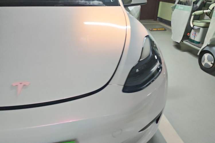 Used Tesla Model Y 2022 Revised Version Rear-Wheel Drive Engine Bay Left