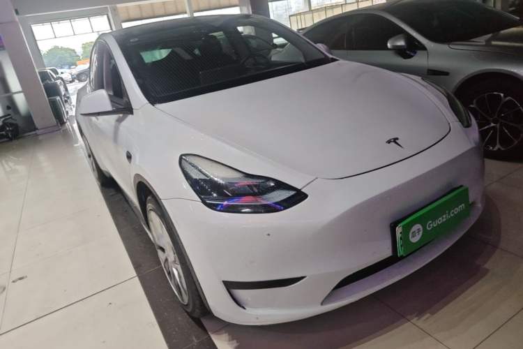 Used Tesla Model Y 2022 Rear-Wheel-Drive Version Exterior 1