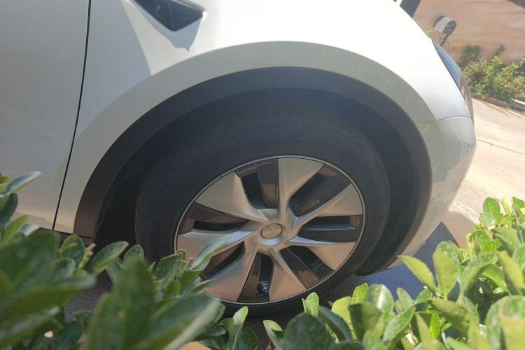 Used Tesla Model Y 2022 Long-Range All-Wheel-Drive Version Exterior 1