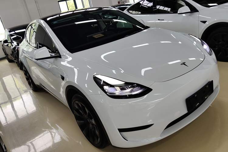 Used Tesla Model Y 2022 Revised Version Rear-Wheel Drive Exterior 1