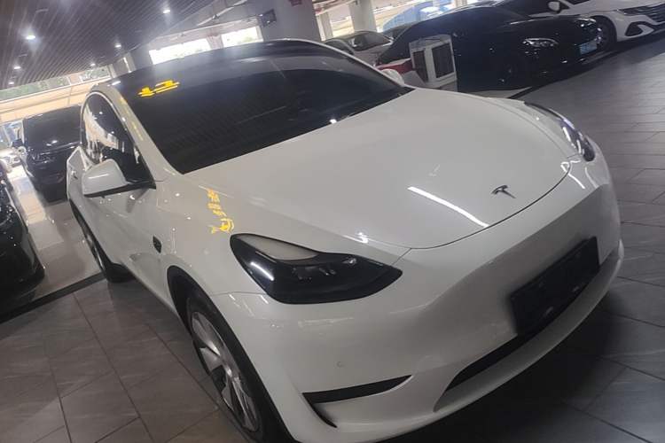 Used Tesla Model Y 2022 Revised Version Rear-Wheel Drive Exterior 1