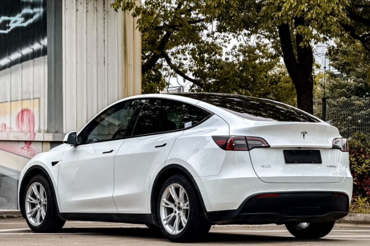 Used Tesla Model Y 2022 Rear-Wheel-Drive Version Exterior 1