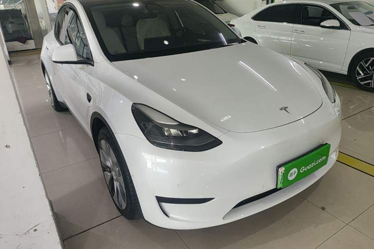 Used Tesla Model Y 2022 Rear-Wheel-Drive Version Exterior 1