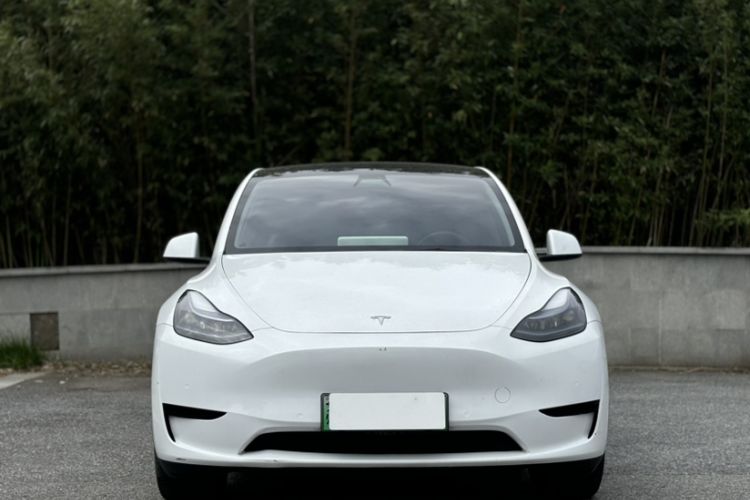 Used Tesla Model Y 2022 Revised Version Rear-Wheel Drive Exterior 1