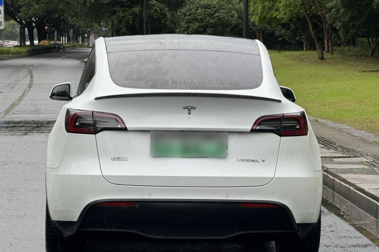 Used Tesla Model Y 2022 Rear-Wheel-Drive Version Exterior 1
