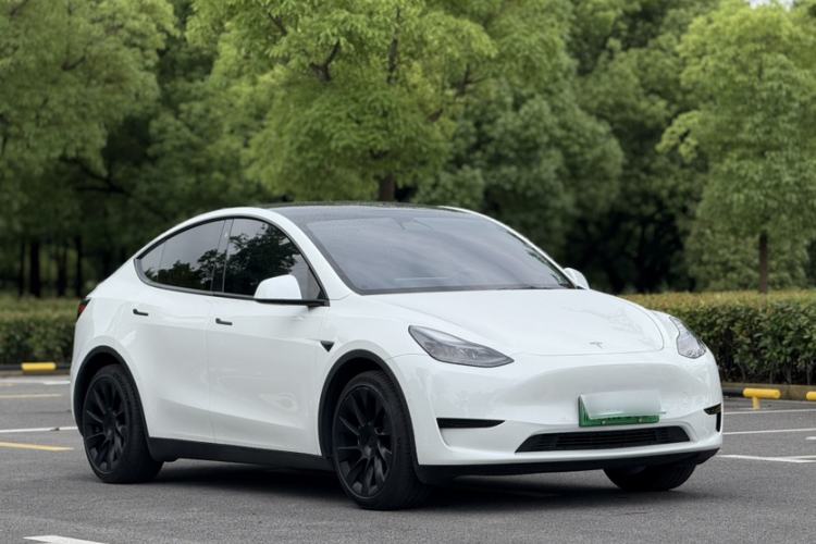 Used Tesla Model Y 2022 Revised Version Rear-Wheel Drive Exterior 1