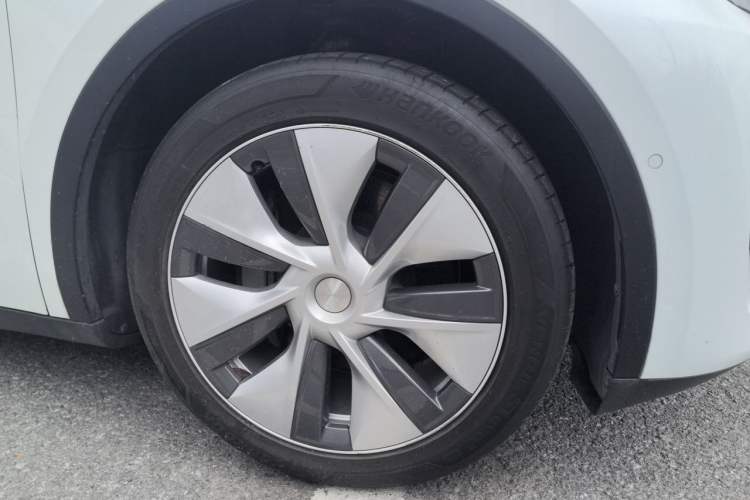 Used Tesla Model Y 2022 Rear-Wheel-Drive Version Exterior 1