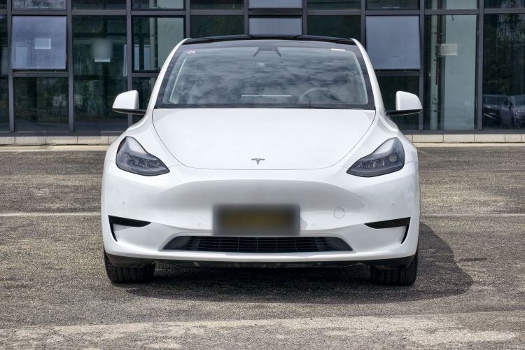 Used Tesla Model Y 2022 Rear-Wheel-Drive Version Exterior 1