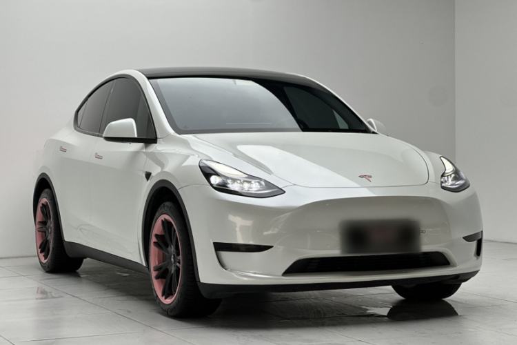 Used Tesla Model Y 2022 Revised Version Rear-Wheel Drive Exterior 1