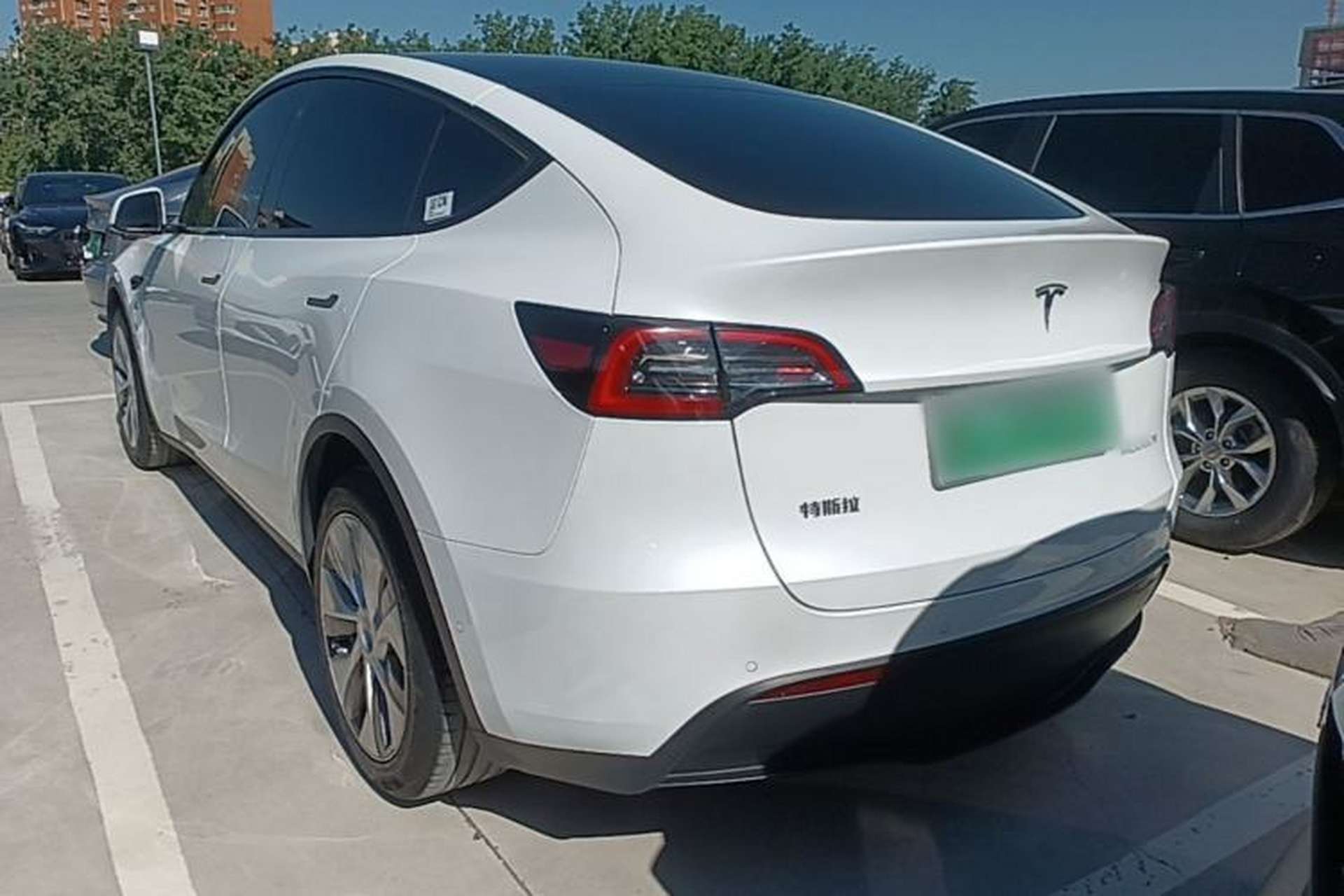Used Tesla Model Y 2022 Rear-Wheel-Drive Version Exterior 2