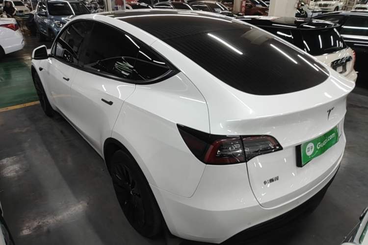 Used Tesla Model Y 2022 Rear-Wheel-Drive Version Exterior 2