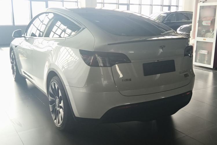 Used Tesla Model Y 2022 Performance High-Performance All-Wheel-Drive Version Exterior 2