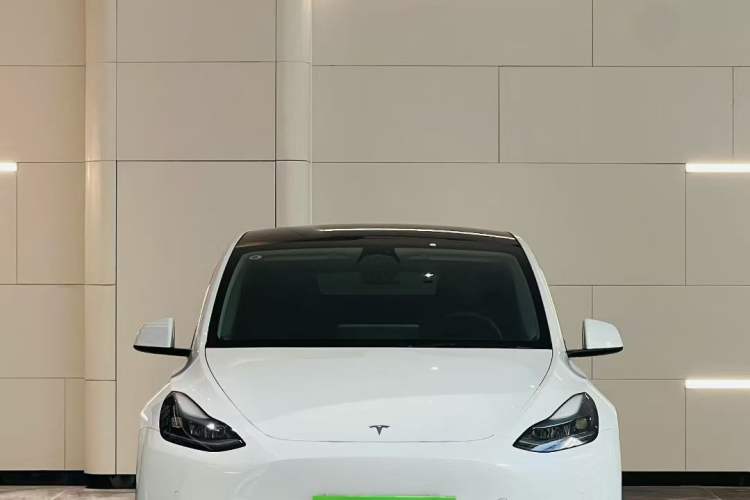 Used Tesla Model Y 2022 Revised Version Long-Range All-Wheel Drive Exterior 2